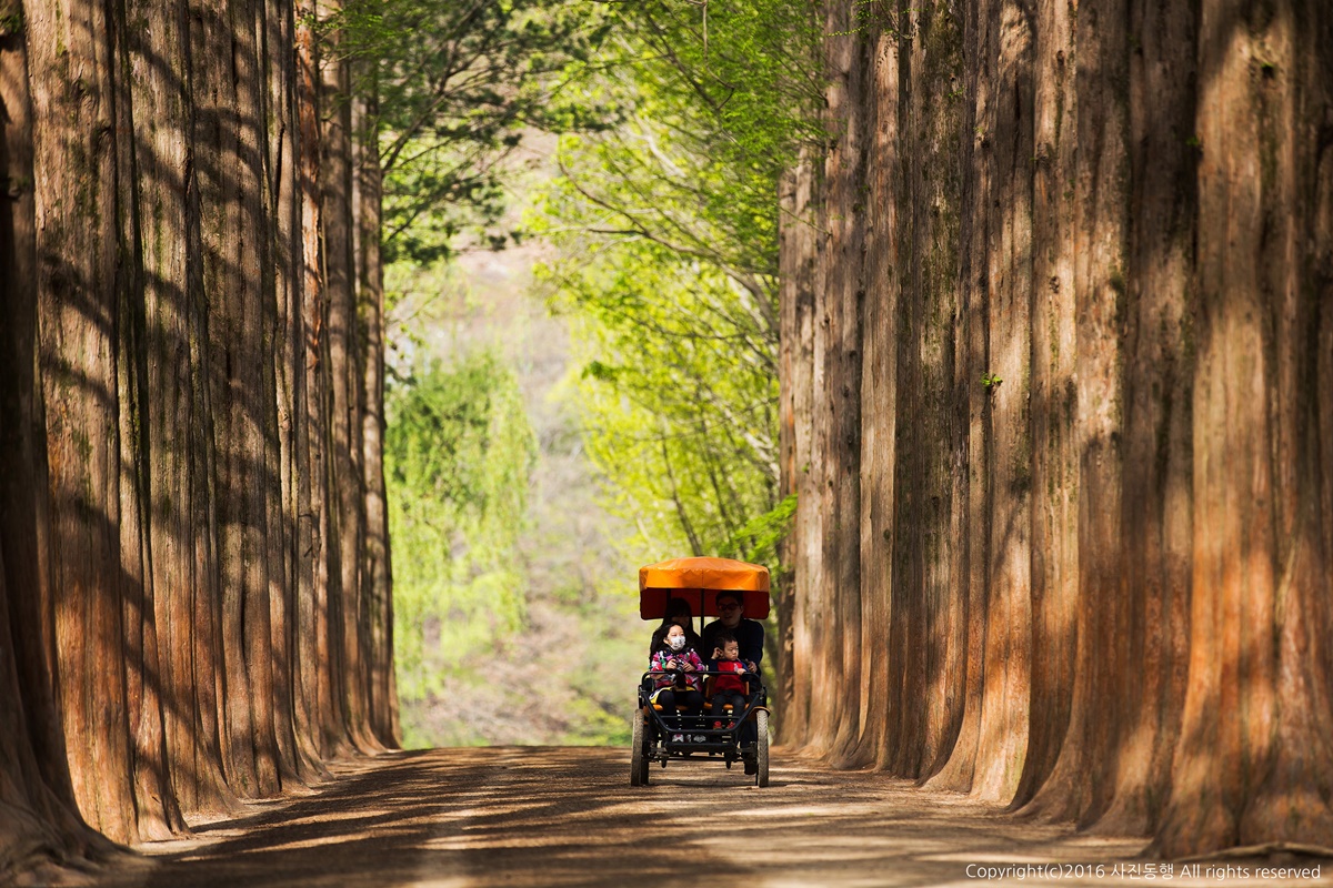 Nami Island