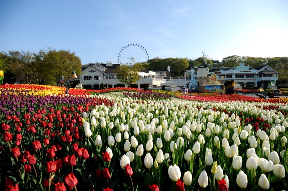 Everland 