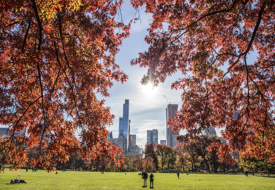 Parkszene mitten in der Stadt