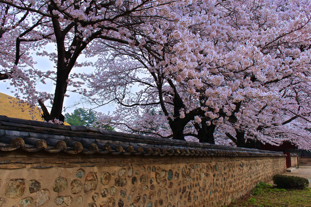 gyeongju_ja