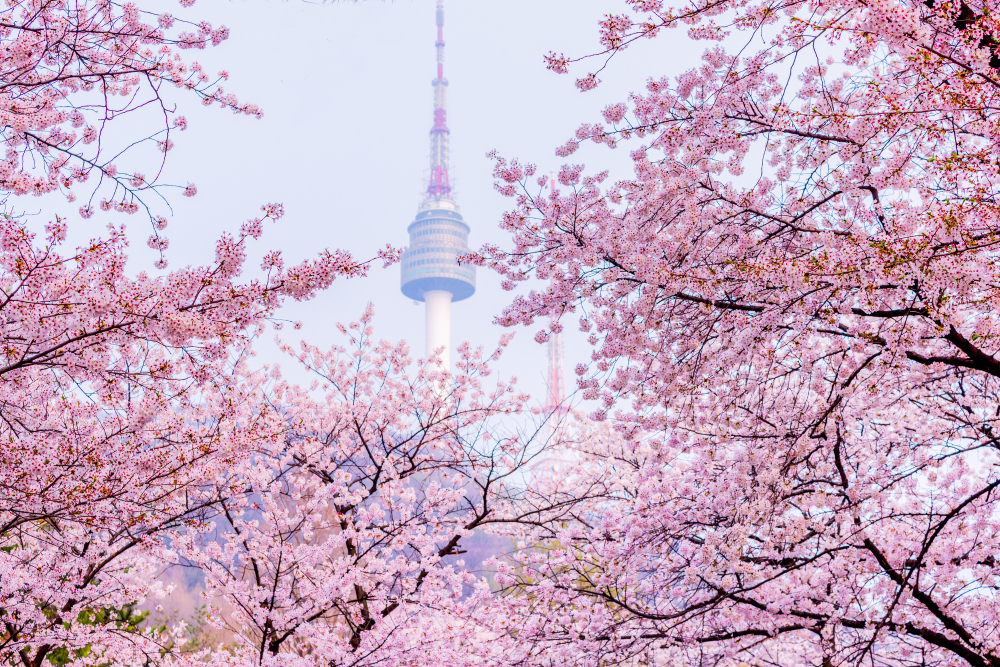 Namsan_cn